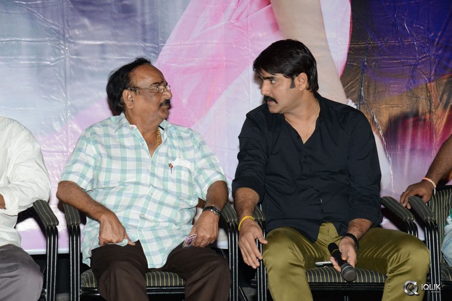 Dhee-Ante-Dhee-Movie-Platinum-Disc-Function